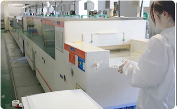 ������ʴ����