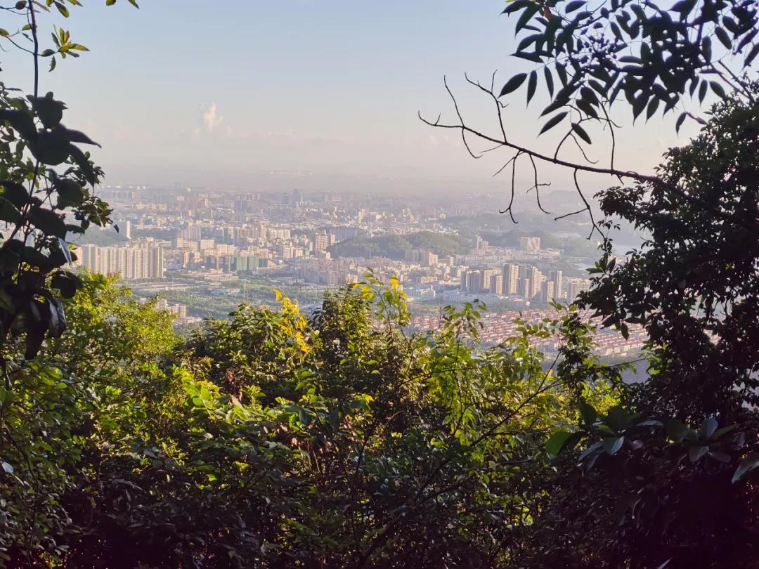 bifa���ط�(�й���)Ψһ�ٷ���վ