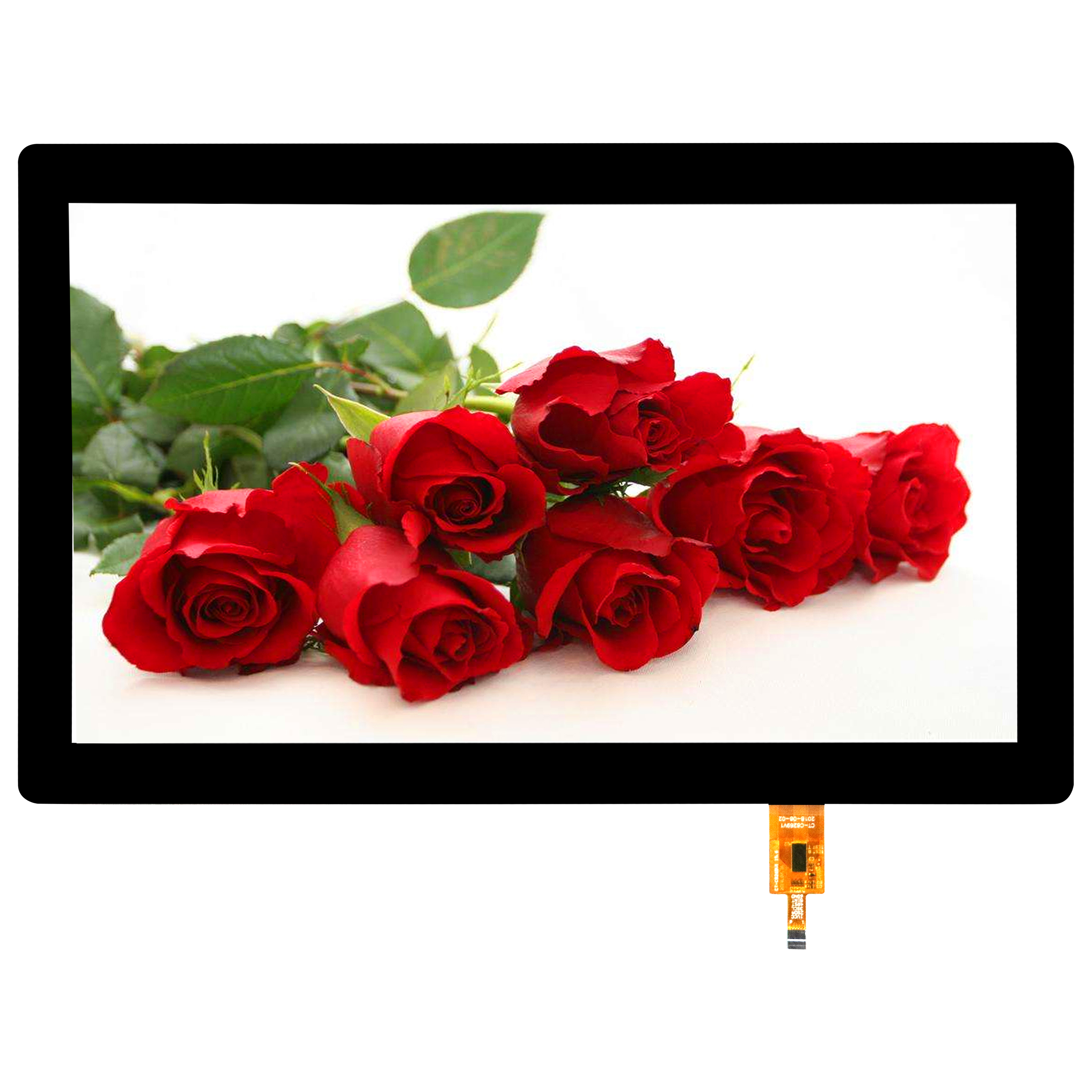 15.6��ҽ�ƴ�����